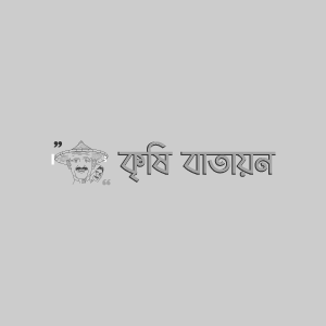 গ্লাডিওলাসের লেদা পোকা